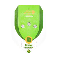 Royal Queen  - Diesel - Automatic