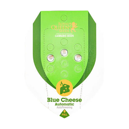 Royal Queen  - Blue Cheese - Automatic
