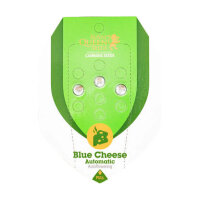Royal Queen  - Blue Cheese - Automatic
