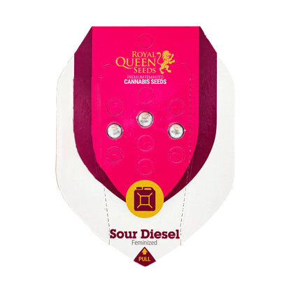 Royal Queen - Sour Diesel - Feminisiert