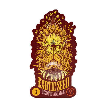 Exotic Seed Exotic Animal - fem