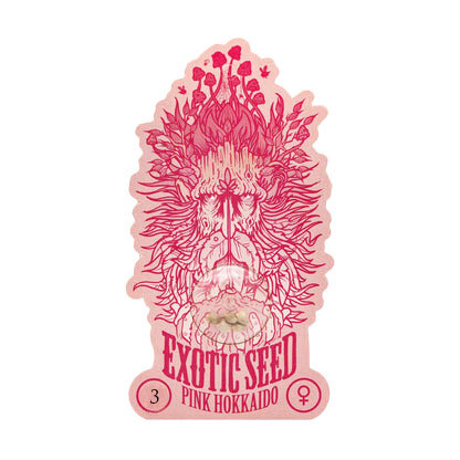 Exotic Seed - PINK HOKKAIDO - Feminsiert