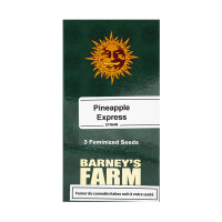 Barneys Farm - Pineapple Express - Feminsiert