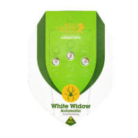 Royal Queen Seeds - WHITE WIDOW - Automatic