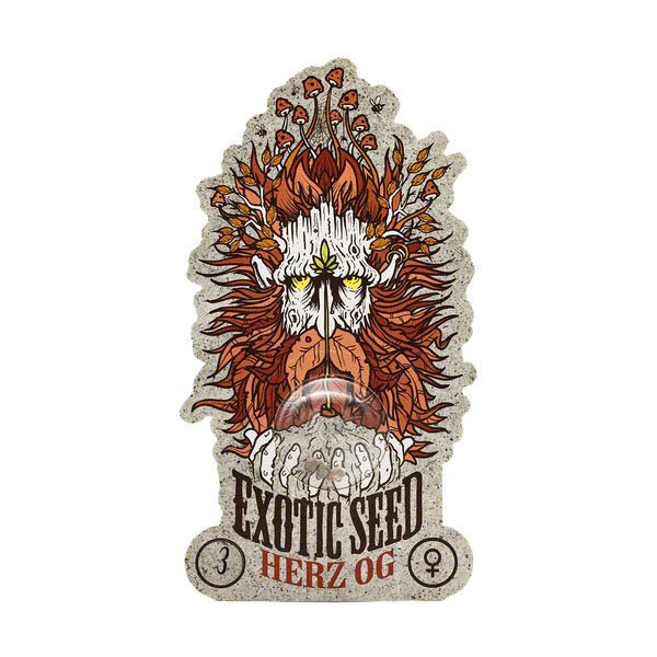 Exotic Seed - HERZ OG - Feminisert