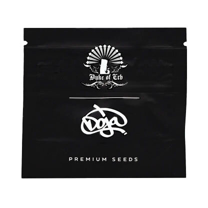 Doja - RS54 X COFFIN CANDY - Regular