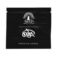 Doja - RS54 X COFFIN CANDY - Regular