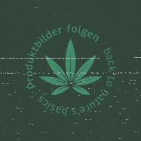 Green House Seed - FULLGAS! - Feminisiert